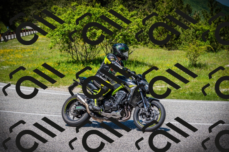 202505251234-DSC09559_c1_