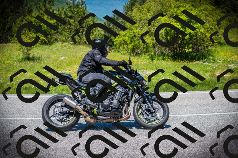 202505251235-DSC09575_c1_