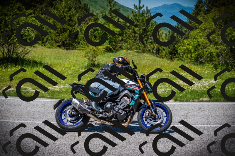 202505251235-DSC09576_c1_