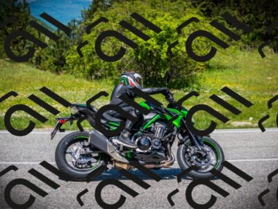 202505251237-DSC09601_c1_