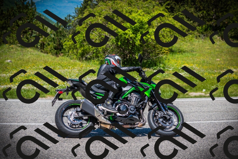 202505251237-DSC09601_c1_