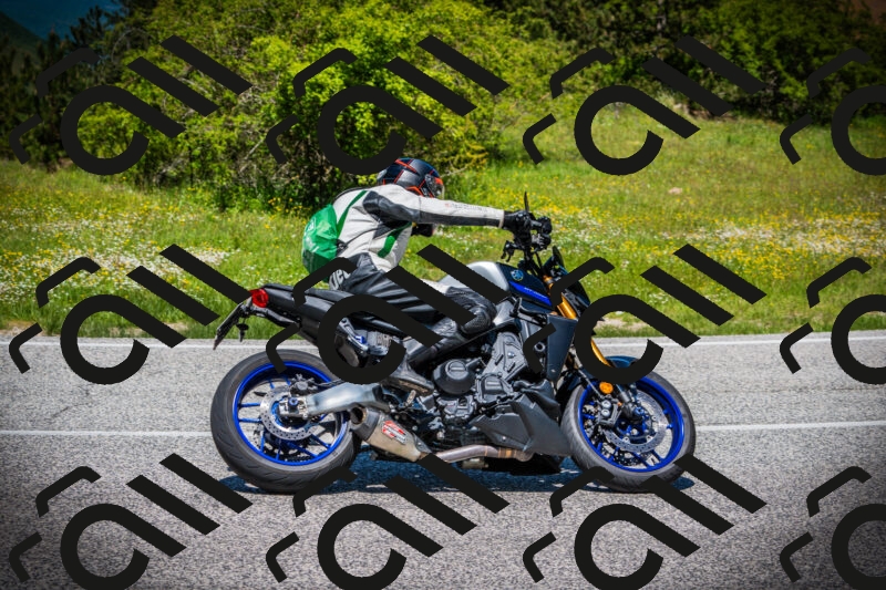 202505251237-DSC09603_c1_