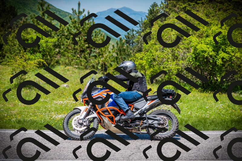 202505251239-DSC09613_c1_