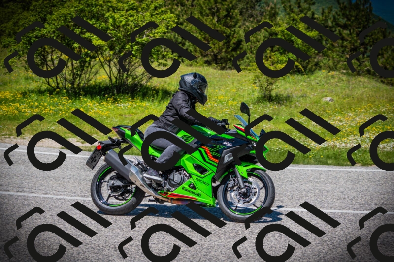 202505251240-DSC09628_c1_