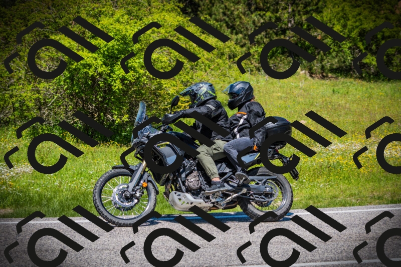 202505251240-DSC09640_c1_