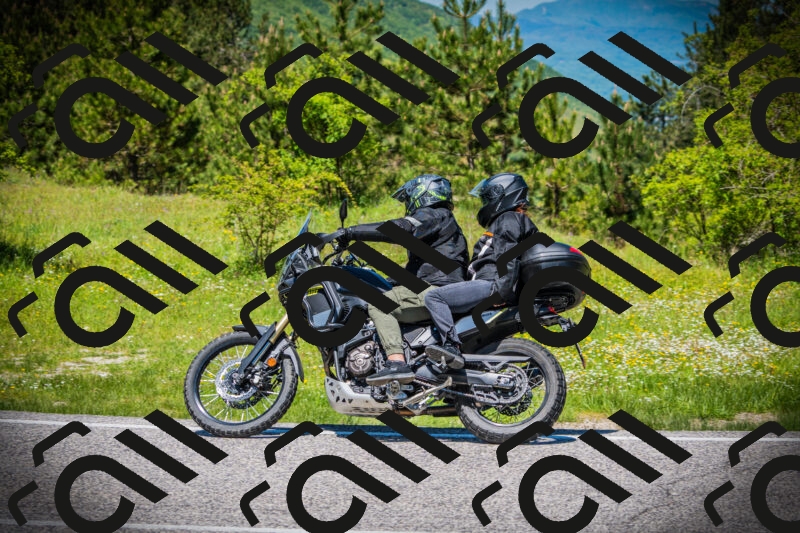 202505251240-DSC09641_c1_