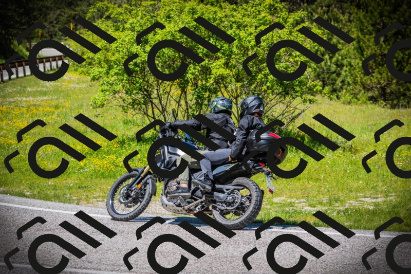 202505251240-DSC09642_c1_