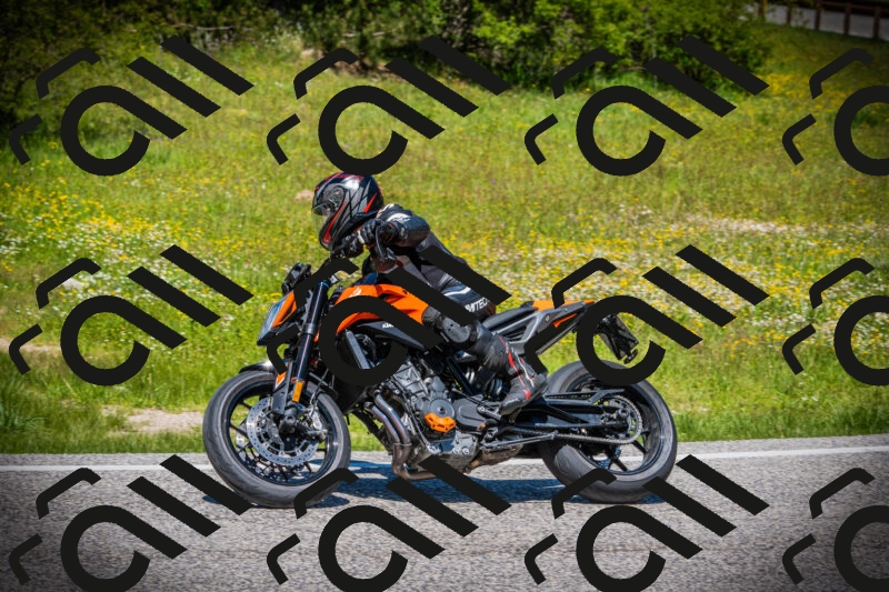 202505251243-DSC09658_c1_