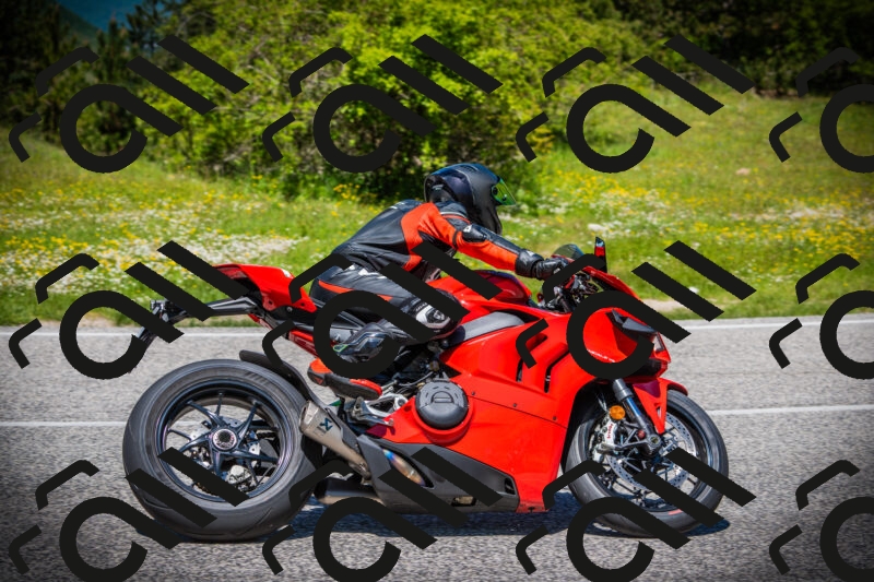 202505251243-DSC09684_c1_