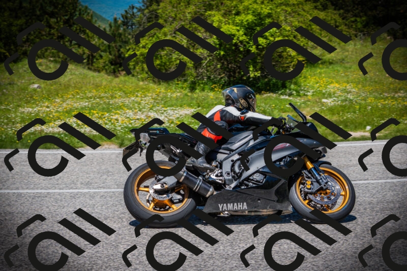 202505251244-DSC09695_c1_