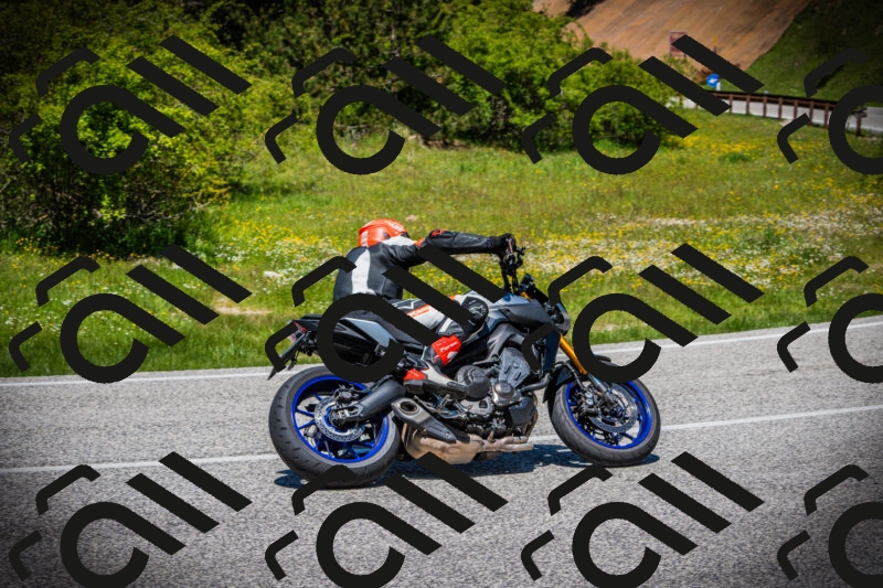 202505251244-DSC09697_c1_