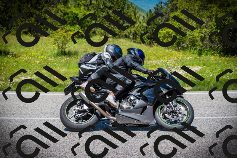 202505251244-DSC09699_c1_