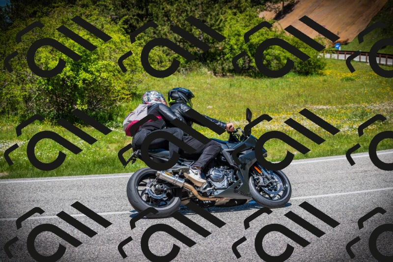 202505251244-DSC09705_c1_