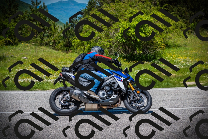 202505251245-DSC09738_c1_