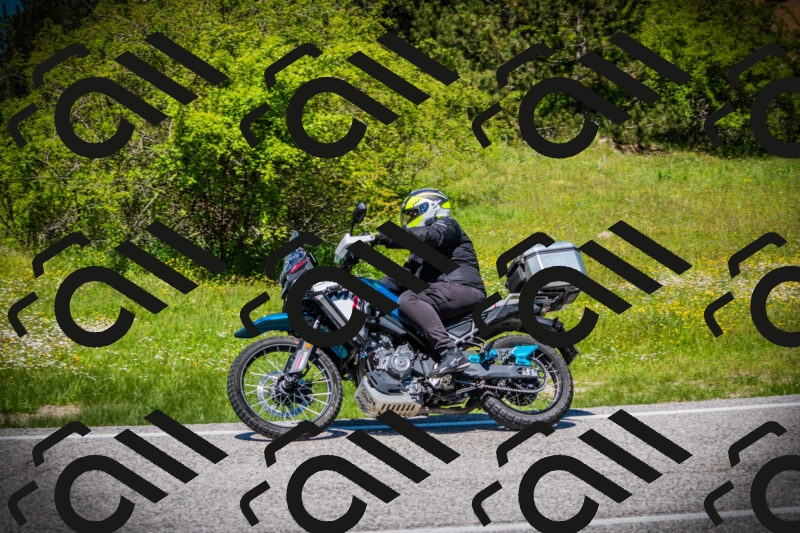 202505251247-DSC09770_c1_