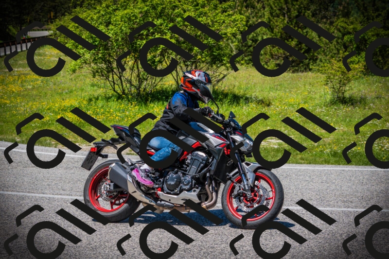 202505251248-DSC09809_c1_