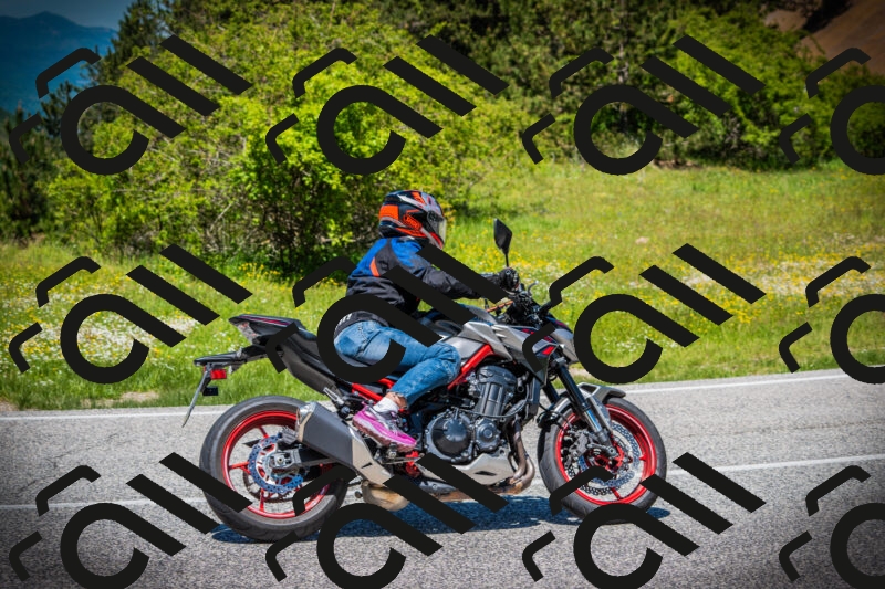 202505251249-DSC09810_c1_