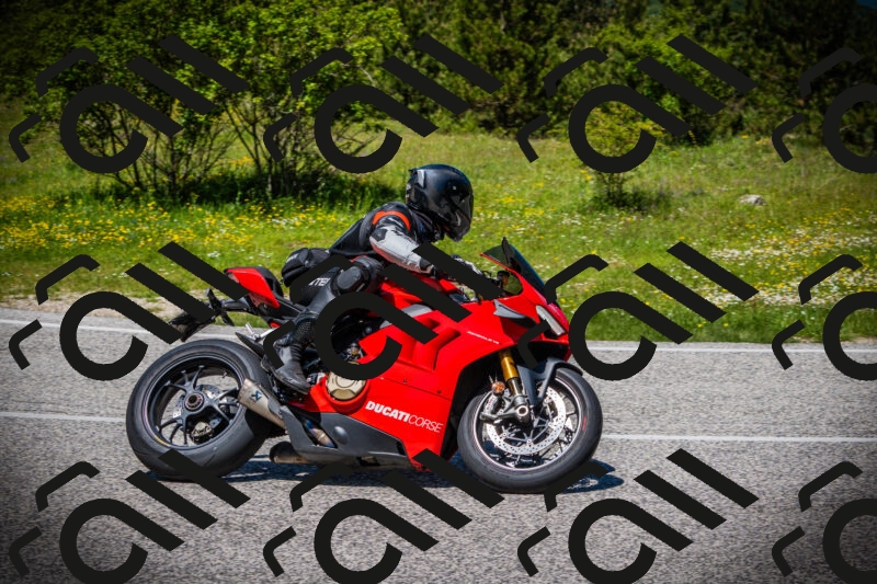 202505251249-DSC09829_c1_