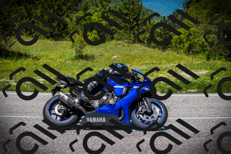 202505251249-DSC09831_c1_