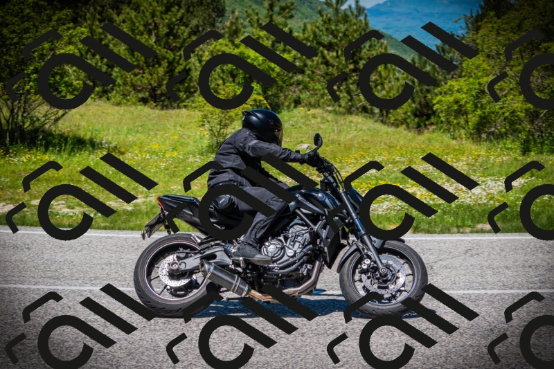 202505251249-DSC09833_c1_