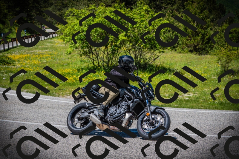 202505251249-DSC09837_c1_