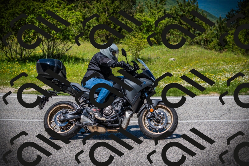 202505251250-DSC09846_c1_