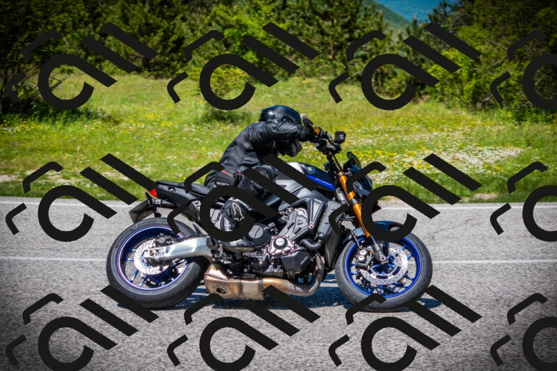 202505251250-DSC09862_c1_