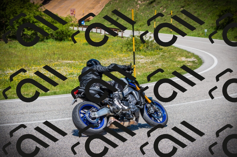 202505251250-DSC09863_c1_