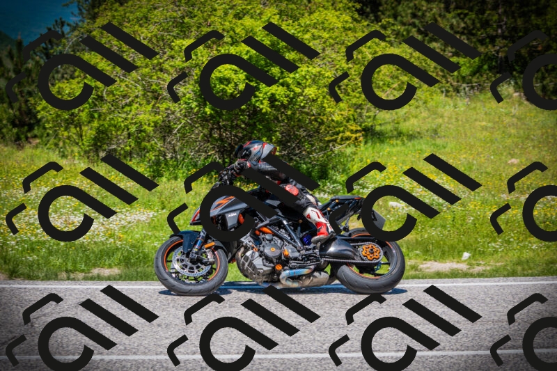 202505251251-DSC09879_c1_