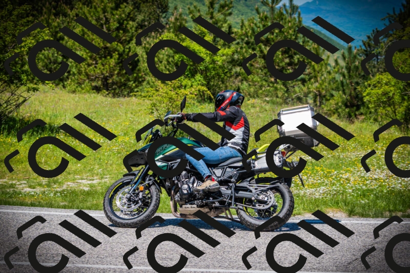 202505251251-DSC09883_c1_