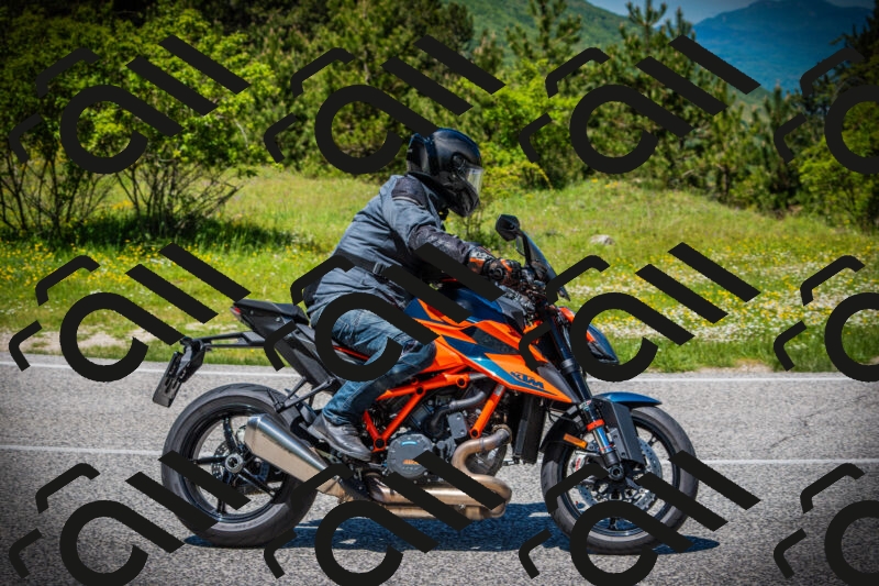 202505251251-DSC09890_c1_