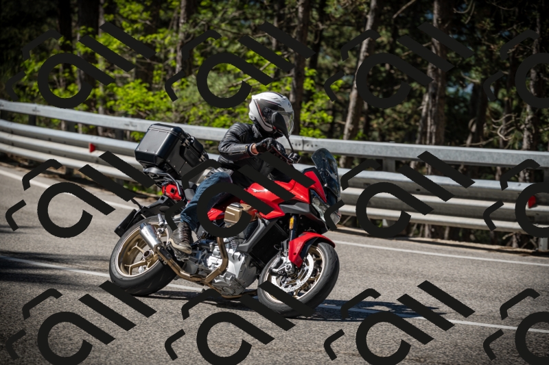 20250531101919-DSC_2994_am_