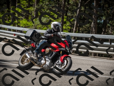 20250531101919-DSC_2994_am_