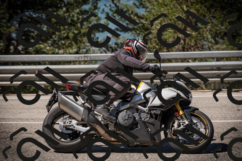 20250531101923-DSC_3000_am_