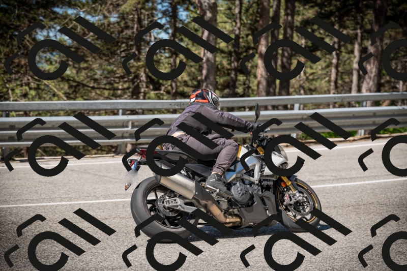 20250531101923-DSC_3001_am_