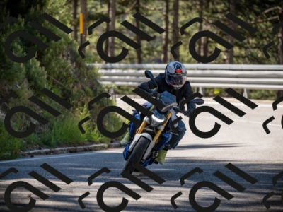 20250531101950-DSC_3004_am_