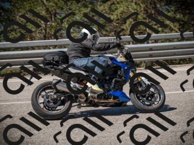 20250531101951-DSC_3007_am_