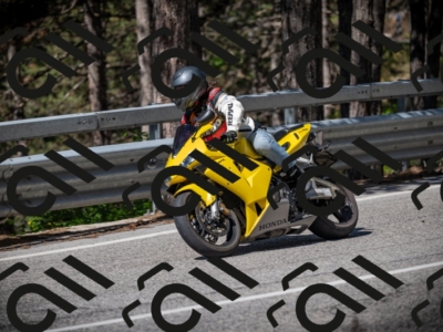 20250531102212-DSC_3008_am_