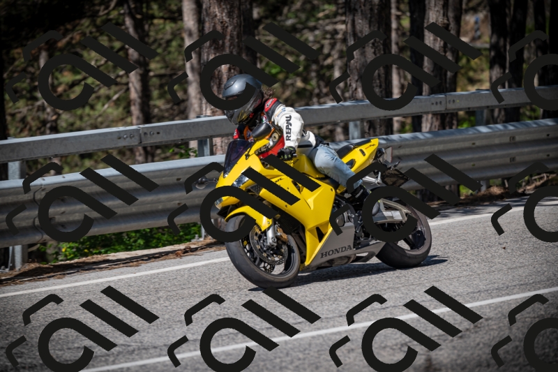 20250531102212-DSC_3008_am_