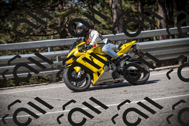 20250531102212-DSC_3009_am_