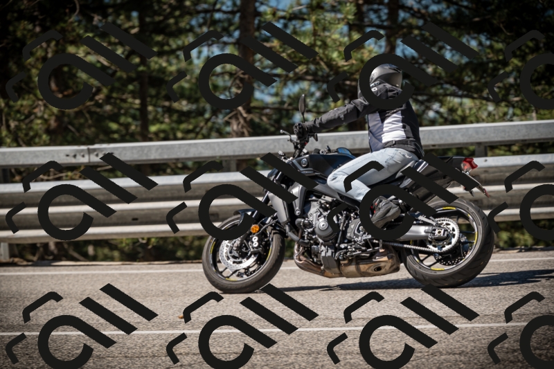 20250531102213-DSC_3011_am_