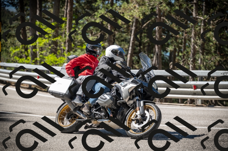 20250531102302-DSC_3013_am_