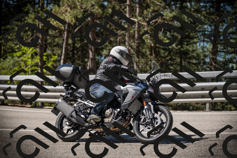 20250531102644-DSC_3024_am_