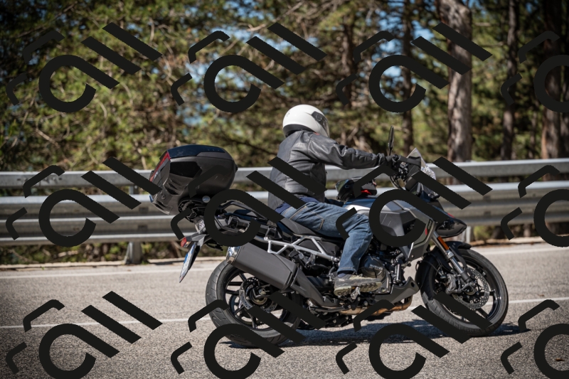 20250531102644-DSC_3026_am_