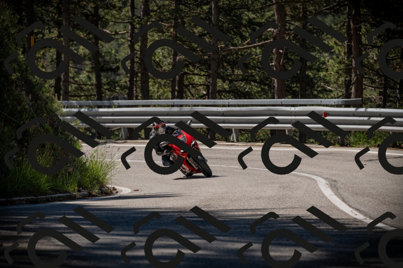 20250531102658-DSC_3027_am_