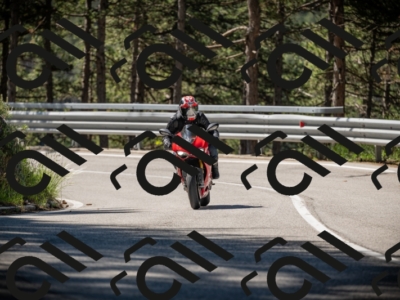 20250531102659-DSC_3028_am_