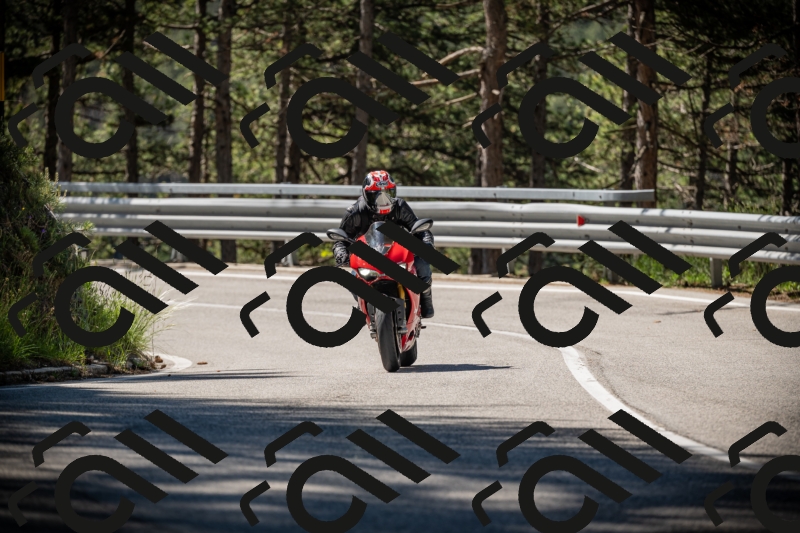 20250531102659-DSC_3028_am_