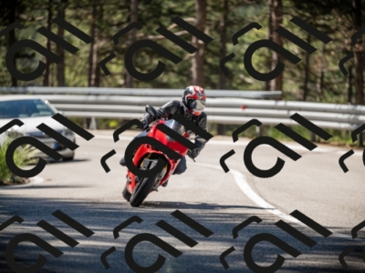 20250531102700-DSC_3029_am_