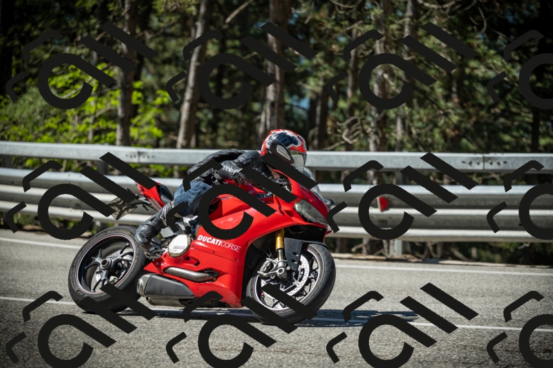 20250531102701-DSC_3031_am_