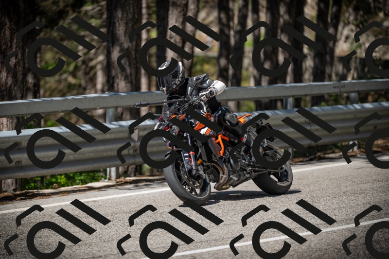 20250531102703-DSC_3034_am_